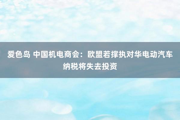 爱色岛 中国机电商会：欧盟若撑执对华电动汽车纳税将失去投资