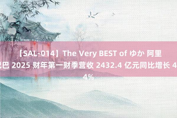 【SAL-014】The Very BEST of ゆか 阿里巴巴 2025 财年第一财季营收 2432.4 亿元同比增长 4%