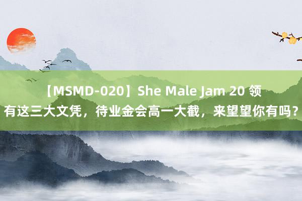 【MSMD-020】She Male Jam 20 领有这三大文凭，待业金会高一大截，来望望你有吗？