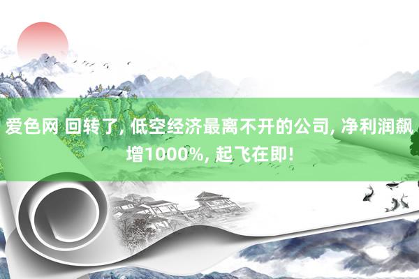 爱色网 回转了, 低空经济最离不开的公司, 净利润飙增1000%, 起飞在即!