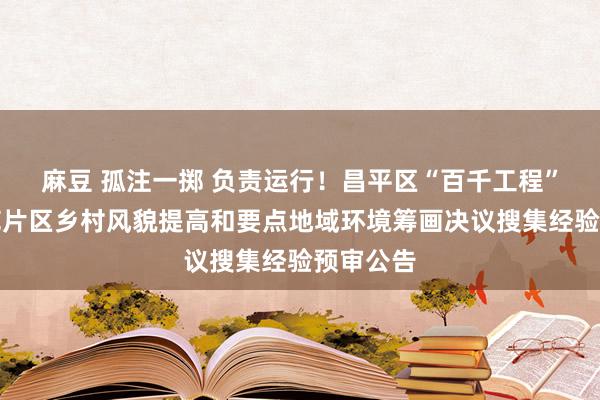 麻豆 孤注一掷 负责运行！昌平区“百千工程”兴寿示范片区乡村风貌提高和要点地域环境筹画决议搜集经验预审公告