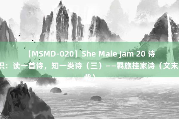 【MSMD-020】She Male Jam 20 诗歌赏识：读一首诗，知一类诗（三）——羁旅挂家诗（文末下载）