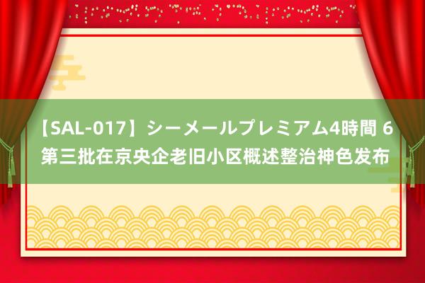 【SAL-017】シーメールプレミアム4時間 6 第三批在京央企老旧小区概述整治神色发布