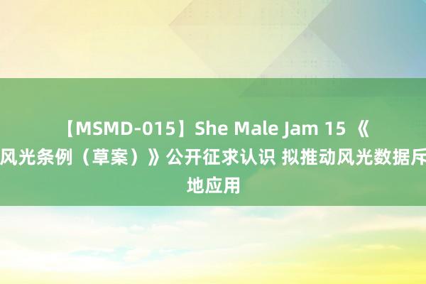 【MSMD-015】She Male Jam 15 《上海市风光条例（草案）》公开征求认识 拟推动风光数据斥地应用