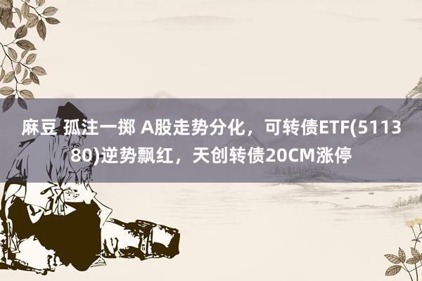 麻豆 孤注一掷 A股走势分化，可转债ETF(511380)逆势飘红，天创转债20CM涨停