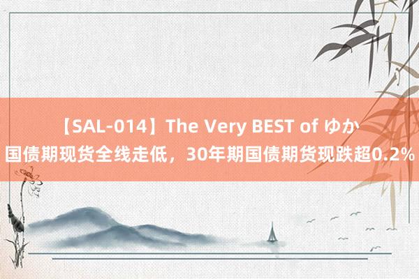 【SAL-014】The Very BEST of ゆか 国债期现货全线走低，30年期国债期货现跌超0.2%