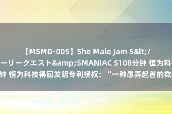 【MSMD-005】She Male Jam 5</a>2008-08-04グローリークエスト&$MANIAC S108分钟 恒为科技得回发明专利授权：“一种愚弄起首的数据存储与索引面容”