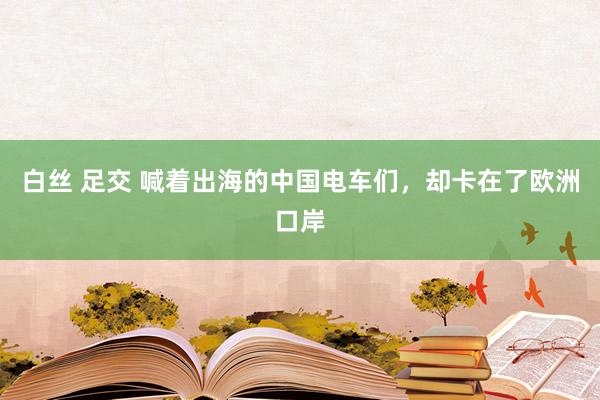 白丝 足交 喊着出海的中国电车们，却卡在了欧洲口岸