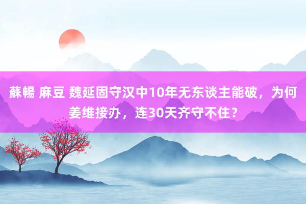 蘇暢 麻豆 魏延固守汉中10年无东谈主能破，为何姜维接办，连30天齐守不住？