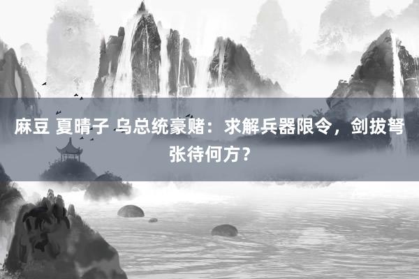 麻豆 夏晴子 乌总统豪赌：求解兵器限令，剑拔弩张待何方？