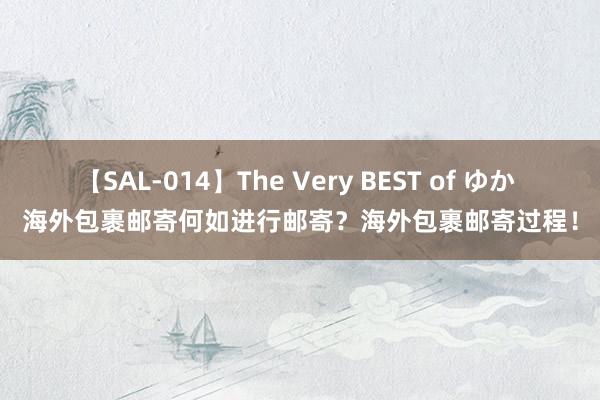 【SAL-014】The Very BEST of ゆか 海外包裹邮寄何如进行邮寄？海外包裹邮寄过程！