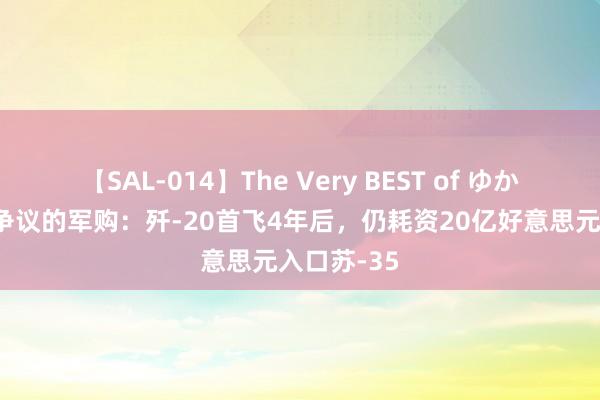 【SAL-014】The Very BEST of ゆか 空军最具争议的军购：歼-20首飞4年后，仍耗资20亿好意思元入口苏-35