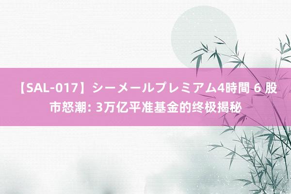 【SAL-017】シーメールプレミアム4時間 6 股市怒潮: 3万亿平准基金的终极揭秘