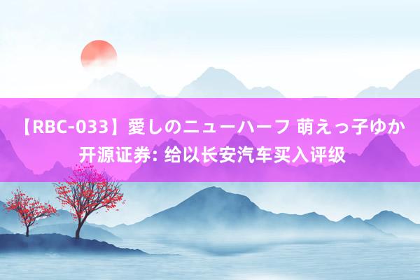 【RBC-033】愛しのニューハーフ 萌えっ子ゆか 开源证券: 给以长安汽车买入评级