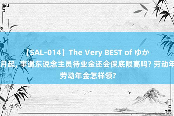 【SAL-014】The Very BEST of ゆか 2024年10月起, 事退东说念主员待业金还会保底限高吗? 劳动年金怎样领?