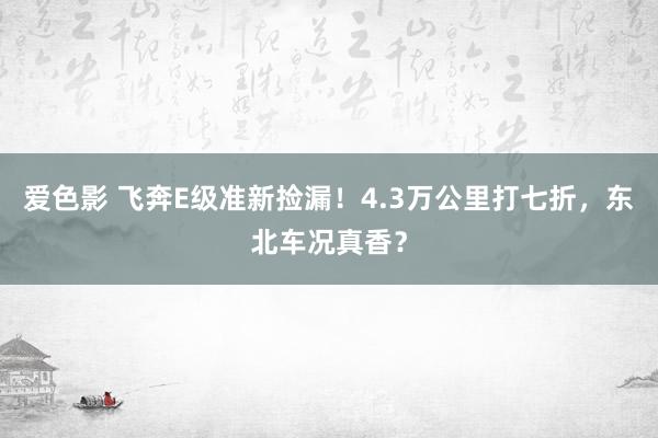 爱色影 飞奔E级准新捡漏！4.3万公里打七折，东北车况真香？